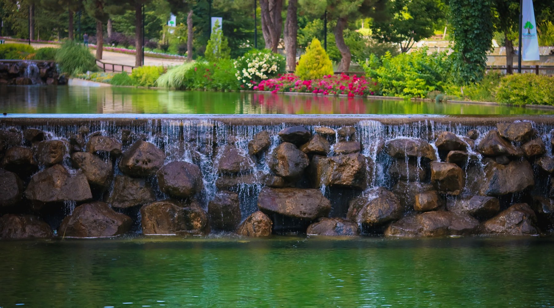 3 Important Factors to Consider When Choosing a Pond Aeration System - Smith Creek Fish Farm