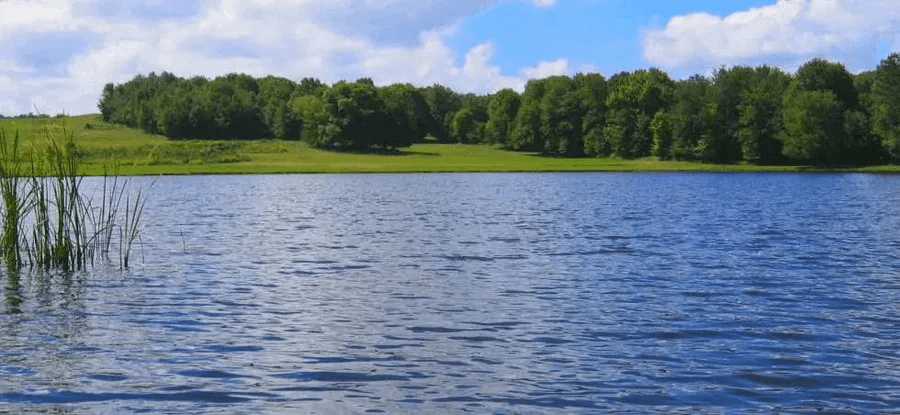 Benefits of Diffused Aeration - Smith Creek Fish Farm