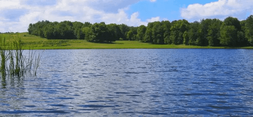 Benefits of Using Pond Dye - Smith Creek Fish Farm