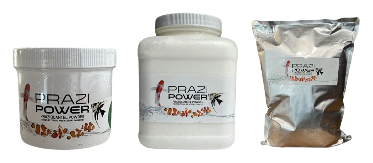 Prazi Power: The Answer to Keeping Your Koi Healthy
