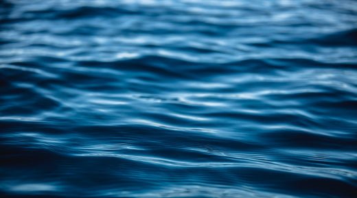 Smith Creek Fish Farm Guide To Pond Dyes - Smith Creek Fish Farm