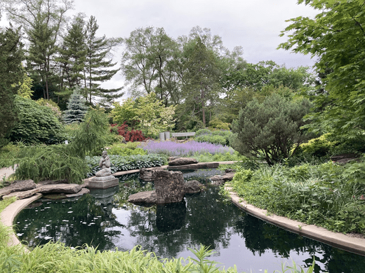 Top 7 Spring Maintenance Tips For Your Garden Pond - Smith Creek Fish Farm