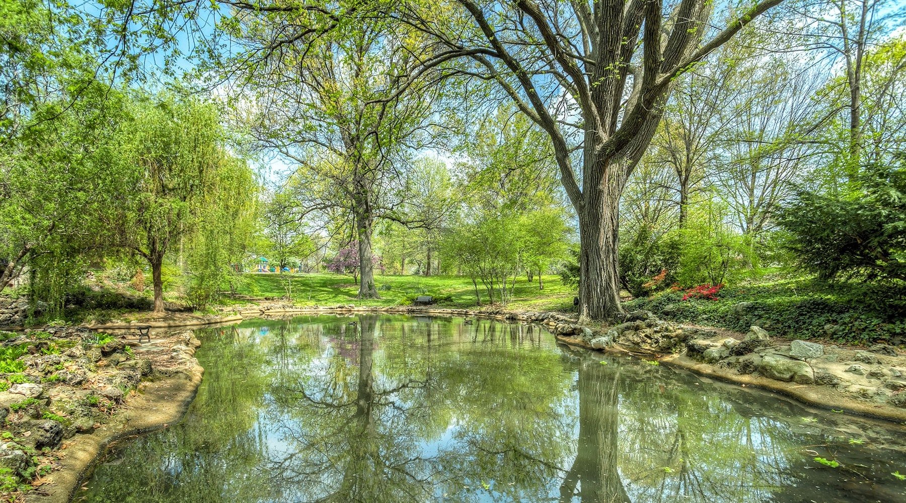 How to Get Rid of Pond Muck? Smith Creek Fish Farm