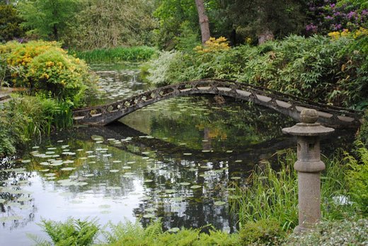 What Type of Pond Liner is Right For You? - Smith Creek Fish Farm