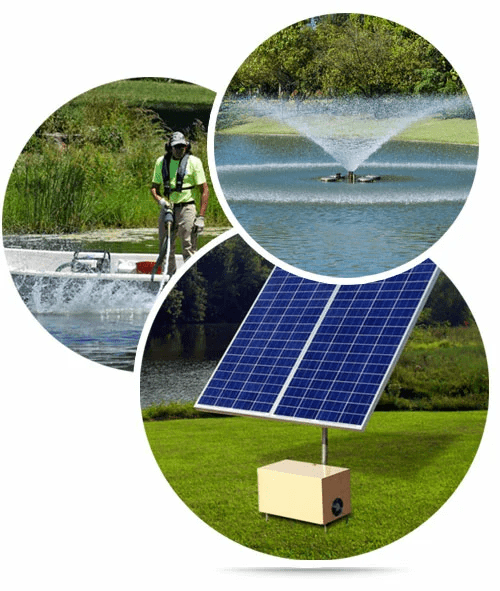 Pond Supplies
