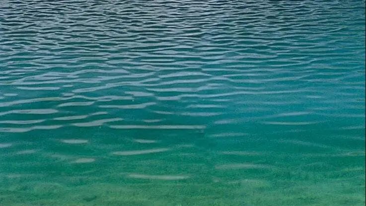 Effective Algae and Pond Weed Control