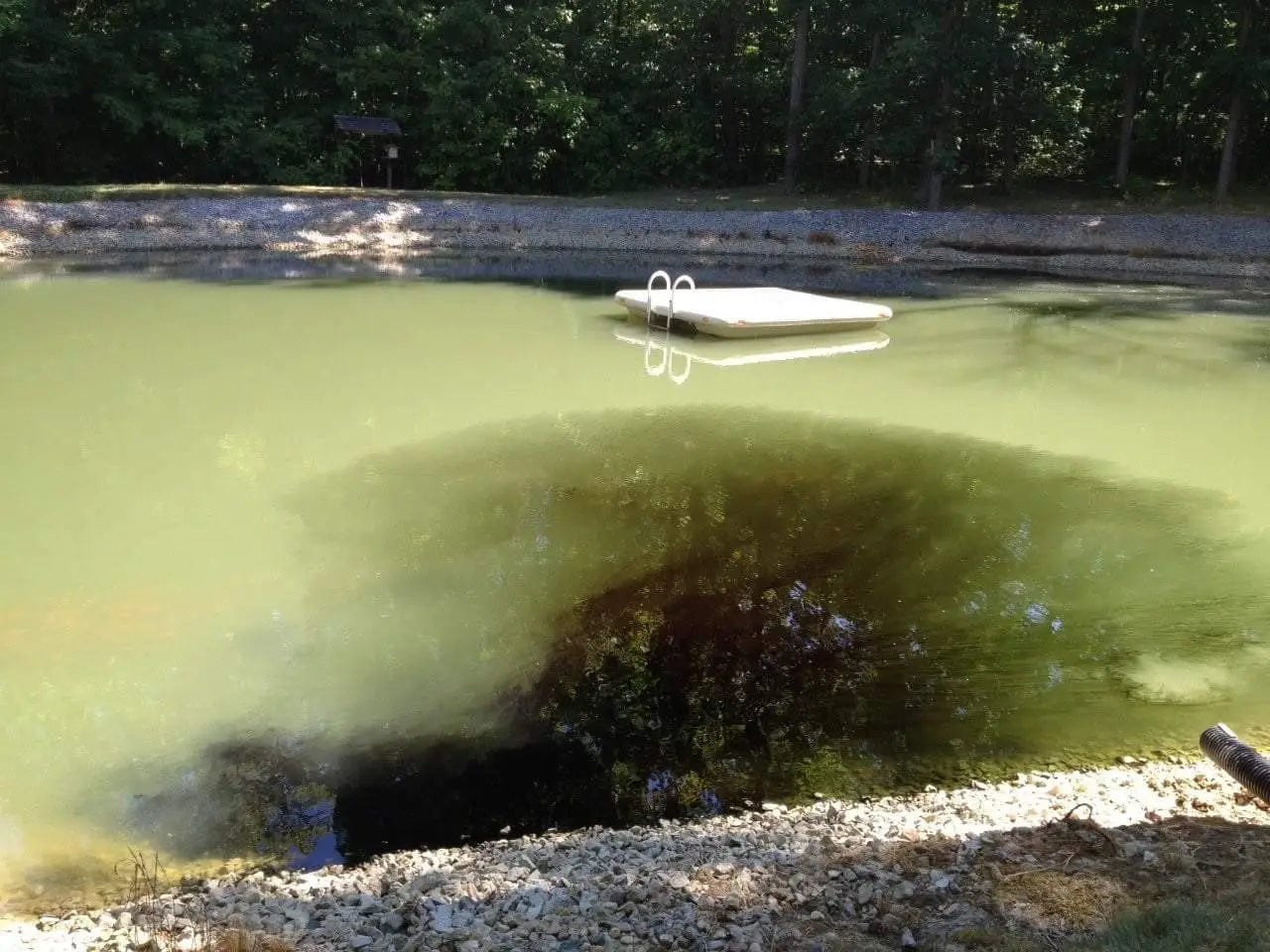 Black Out Pond Dye 1 Gallon Sanco - Smith Creek Fish Farm