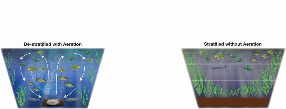 EasyPro Shallow Water Pond Aerator - Smith Creek Fish Farm