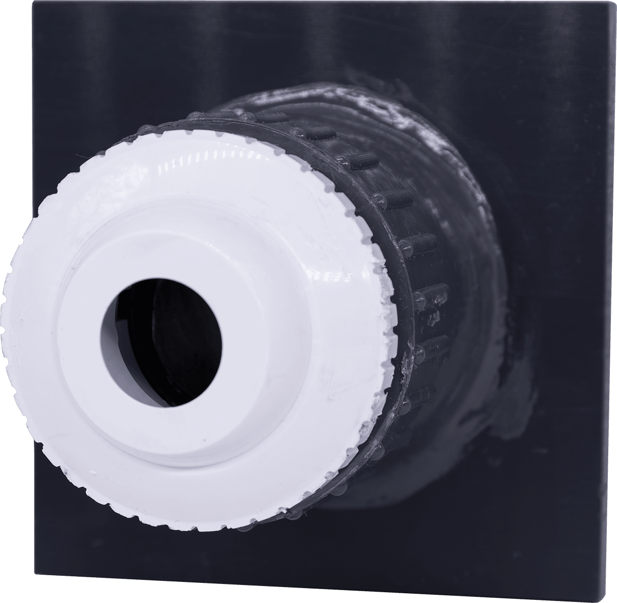 "Eye Ball" Returns EasyPro - Smith Creek Fish Farm