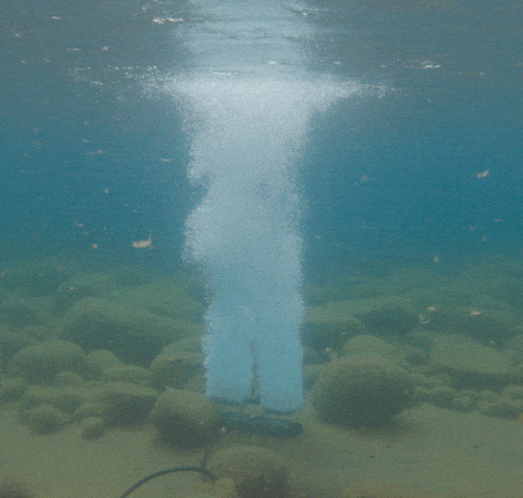 Kasco's Robust Aire Diffused Aeration Systems