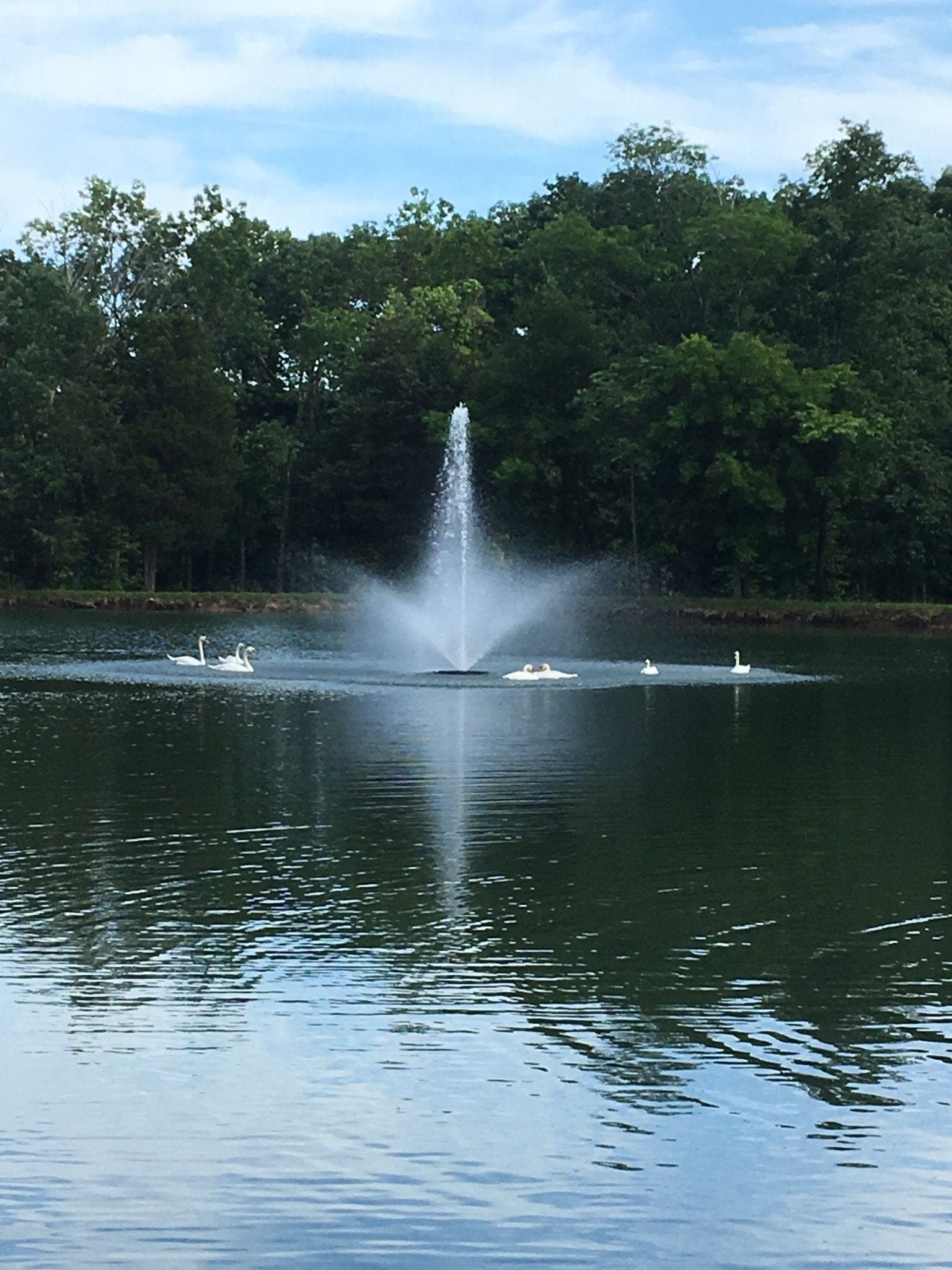 Kasco J Series Fountain 3 HP 240v Three Phase - Smith Creek Fish Farm