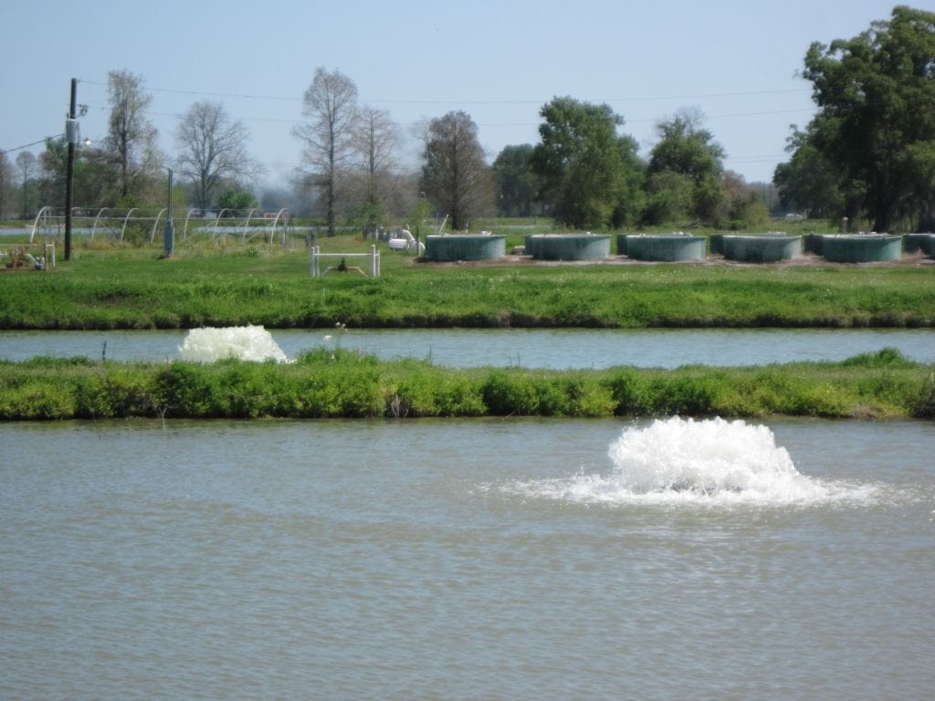 Aeration Systems | Lake Management