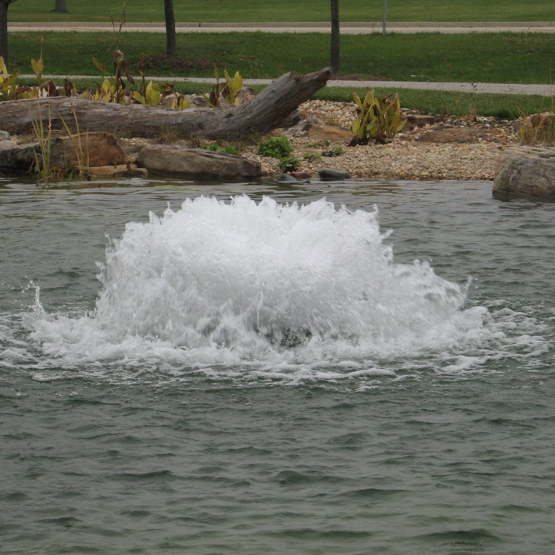 Kasco Surface Aerator