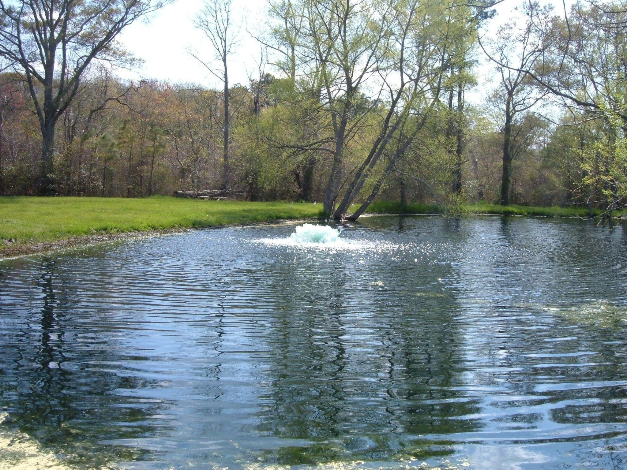 Kasco 120V Surface Aerator