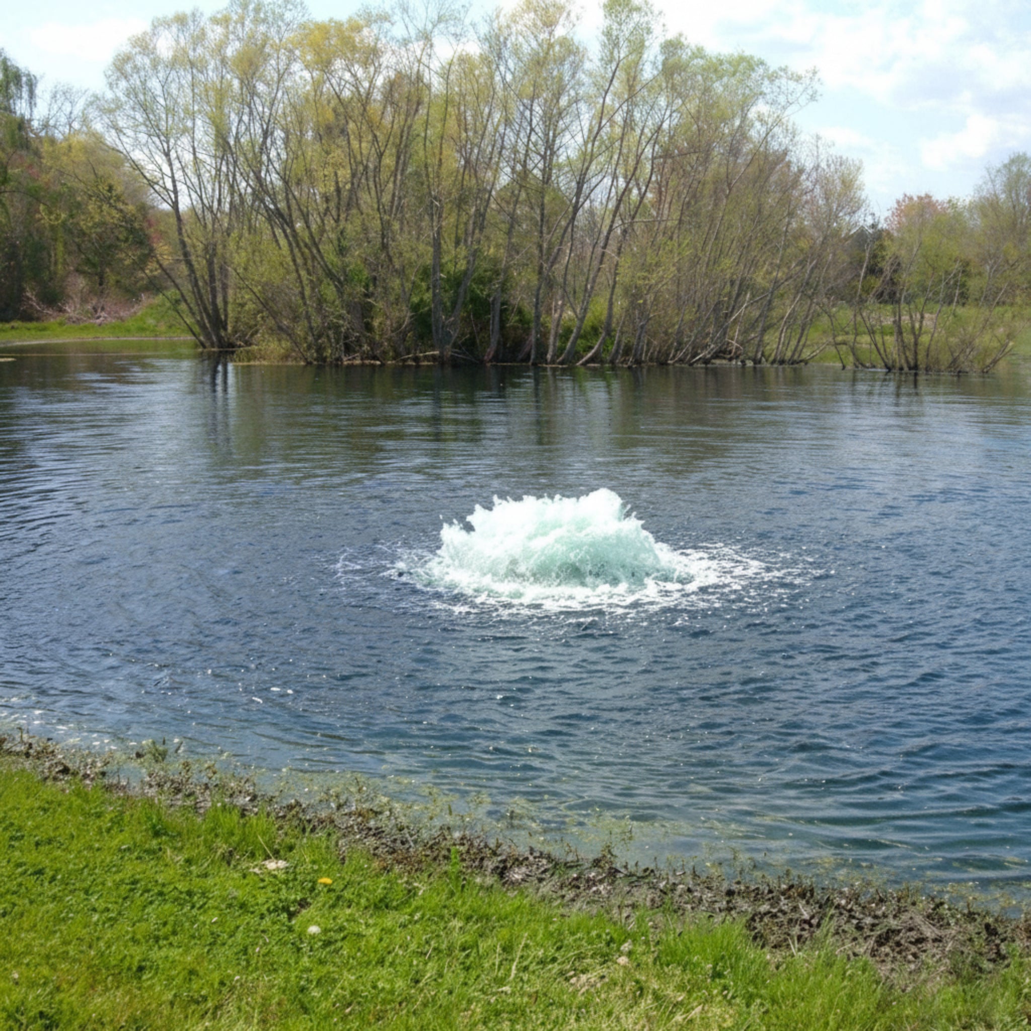 Kasco Surface Aerator 1/2 HP creating oxygen-rich water spray in a serene pond setting.