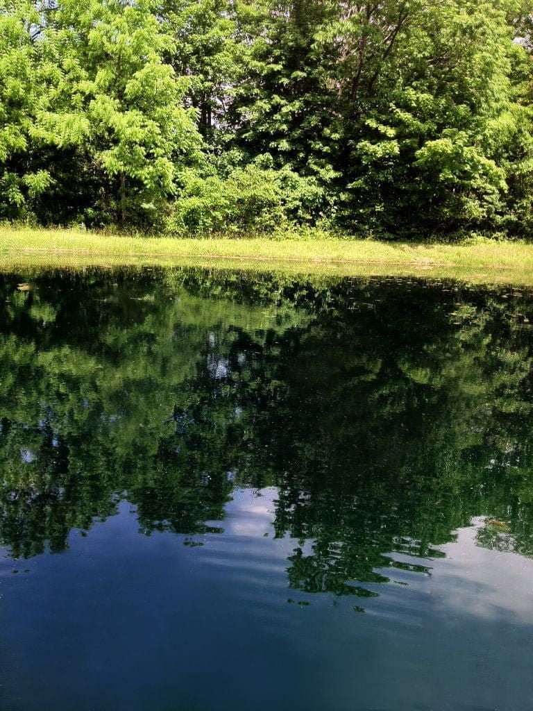 Midnight Blue Pond Dye Toss Packs - Smith Creek Fish Farm