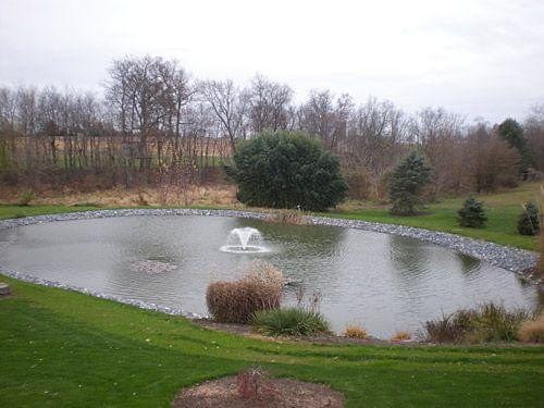 Midnight Blue Pond Dye Toss Packs - Smith Creek Fish Farm