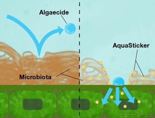 Naturalake AquaSticker - Smith Creek Fish Farm