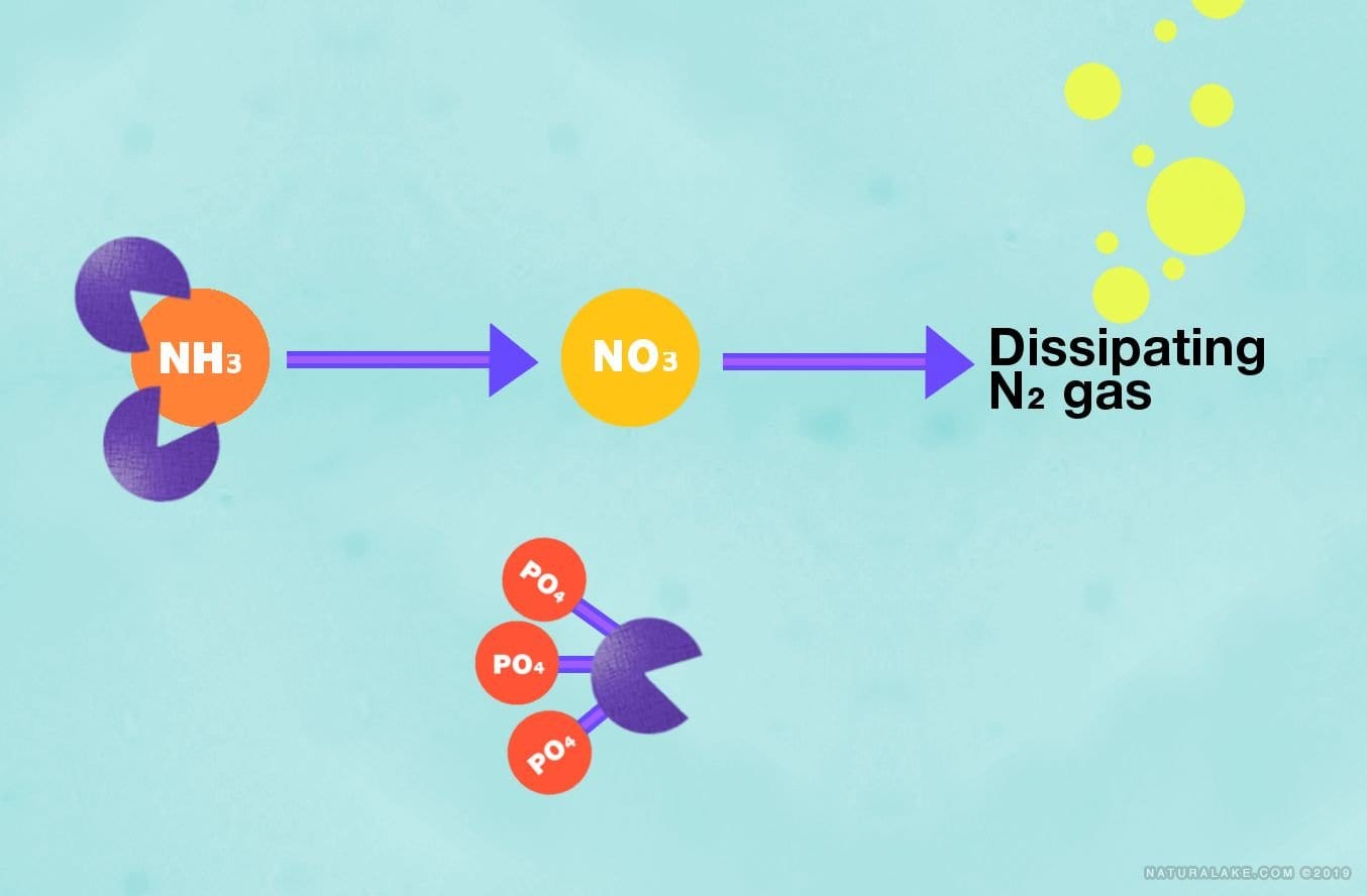 Naturalake Bacterial Naturalake Nature's Blend Naturalake Nature's Blend - Smith Creek Fish Farm