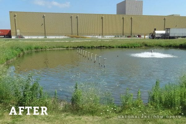 Naturalake CattZilla - Smith Creek Fish Farm