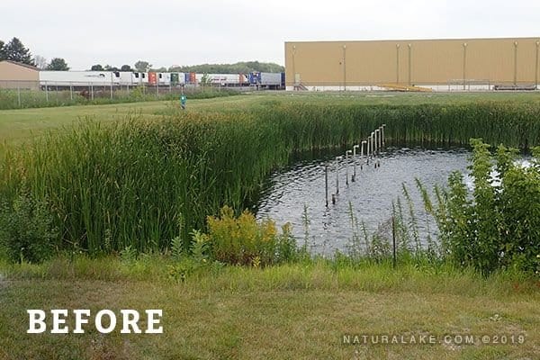 Naturalake CattZilla - Smith Creek Fish Farm