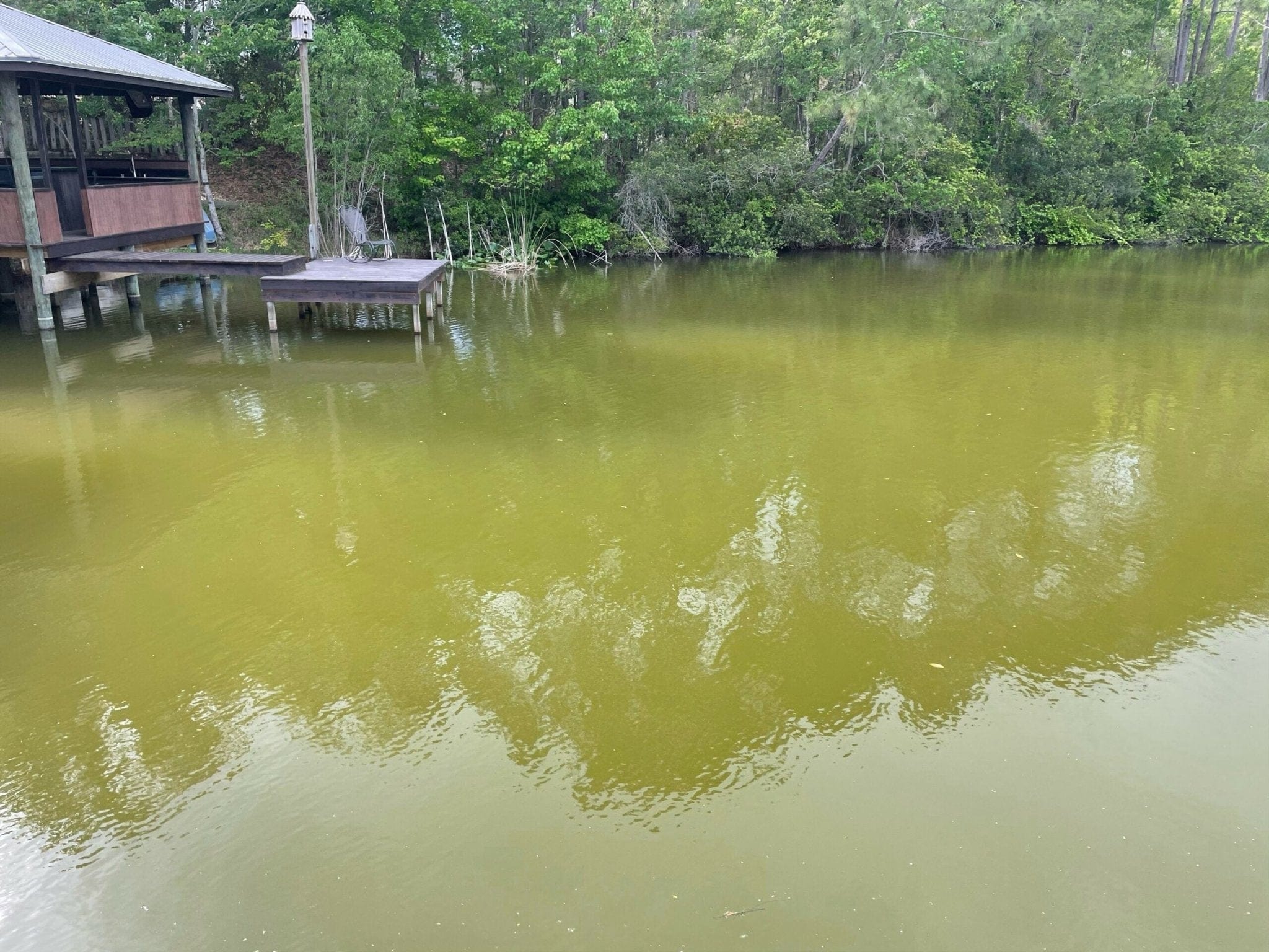 Naturalake MetaFloc - Smith Creek Fish Farm