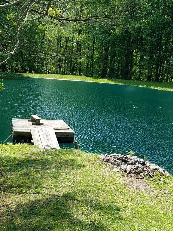 Ocean Blue Pond Dye - Gallon - Smith Creek Fish Farm