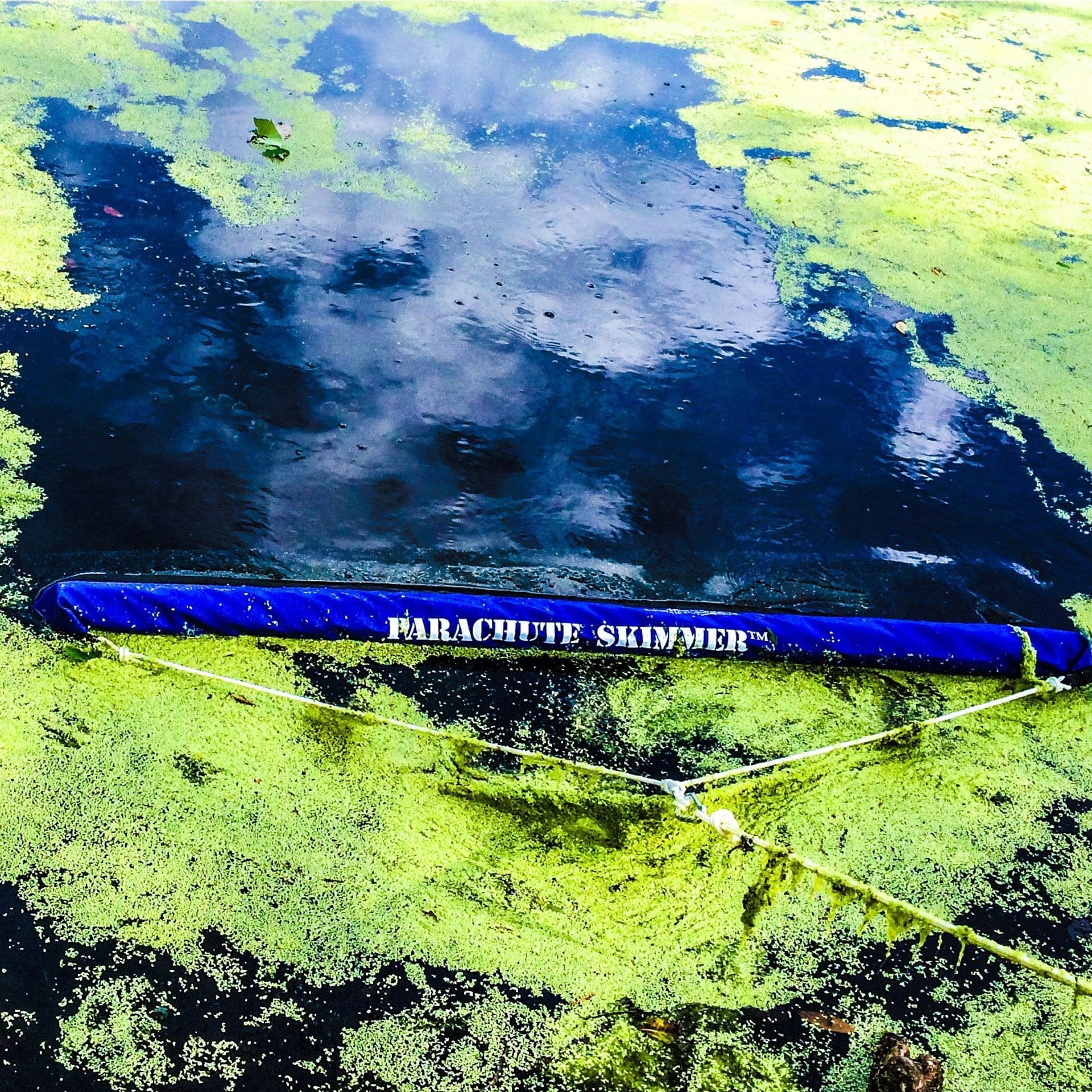 Parachute Skimmer Pool & Pond Skimmer - Smith Creek Fish Farm