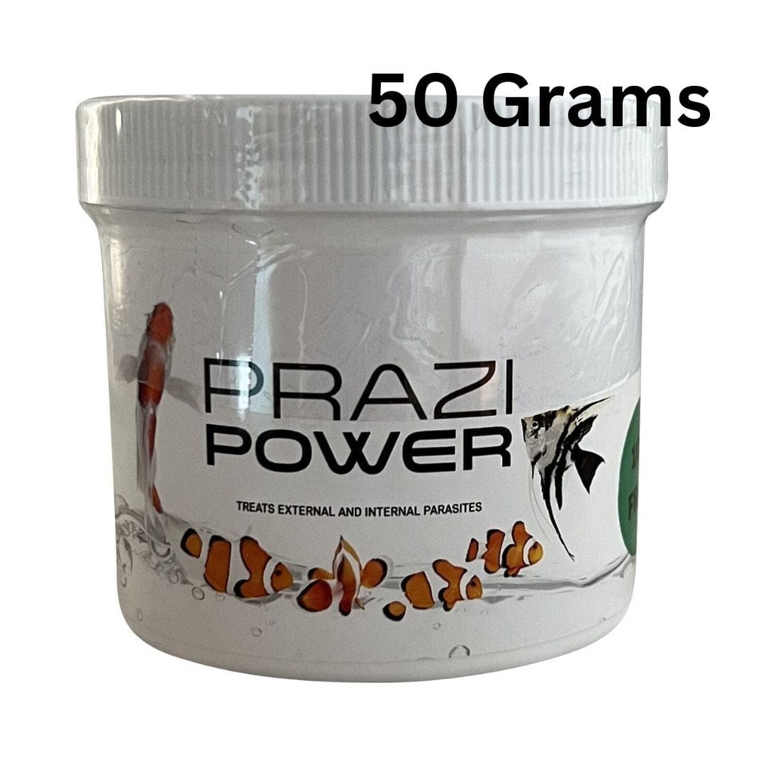 Prazi Power - Professional Fluke & Worm Treatment for Koi and Pond Fish - Smith Creek Fish Farm