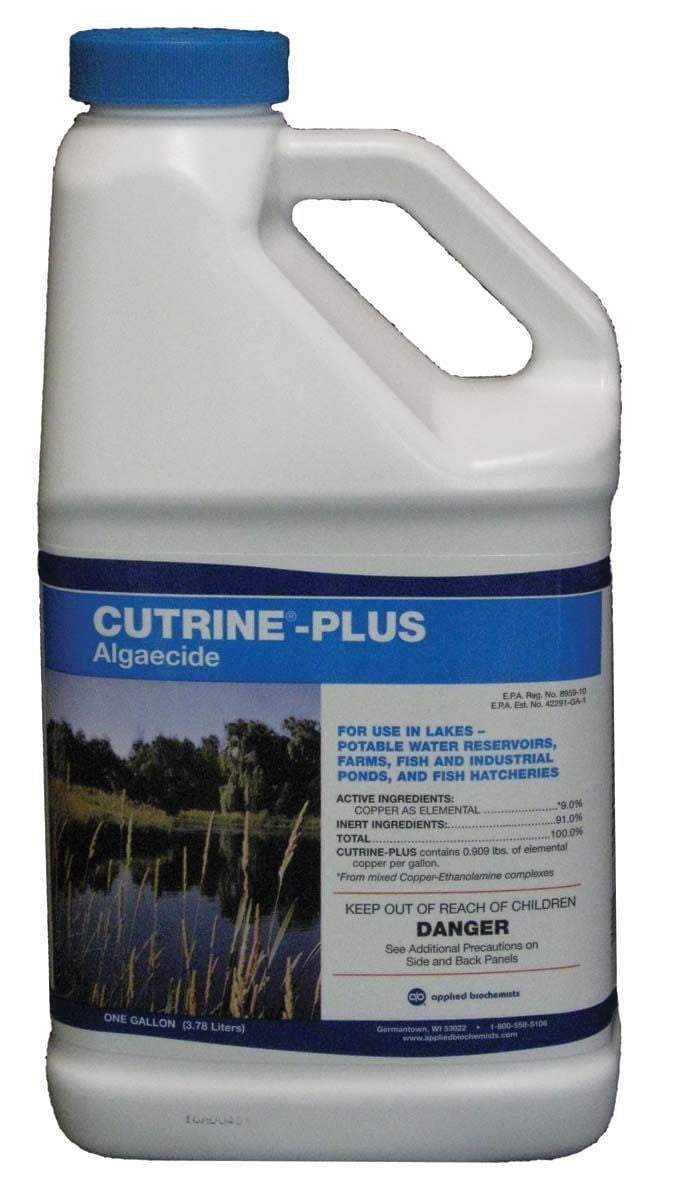 Gallon Cutrine