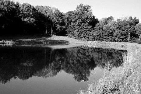 Free Guide on Raising Baitfish and Crayfish in New York