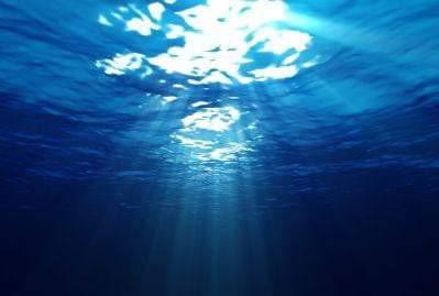 Underwater View of the Ocean With Sunlight Shining Through the Water