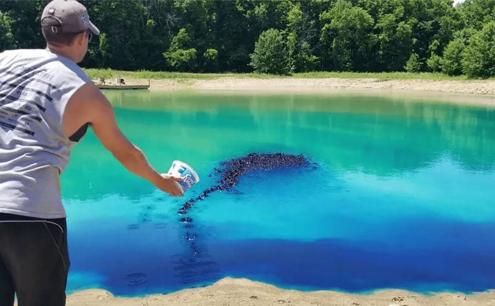 Blue or Black: Choosing the Right Pond Dye Color - Smith Creek Fish Farm