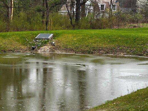 How To Find And Fix Pond Leaks Quickly - Smith Creek Fish Farm