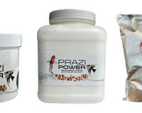 Prazi Power: The Answer to Keeping Your Koi Healthy