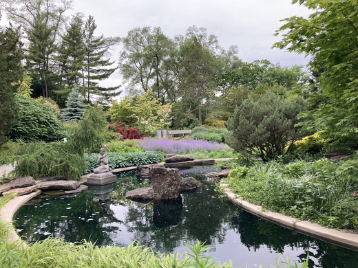 Top 7 Spring Maintenance Tips For Your Garden Pond