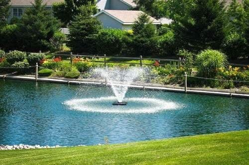 Nine Tips for Winterizing Your Pond