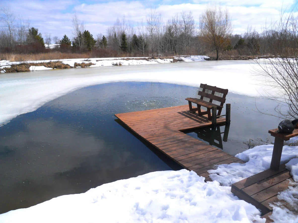 Get Your Pond Winter‑Ready: Cold‑Weather Tips & Top Products