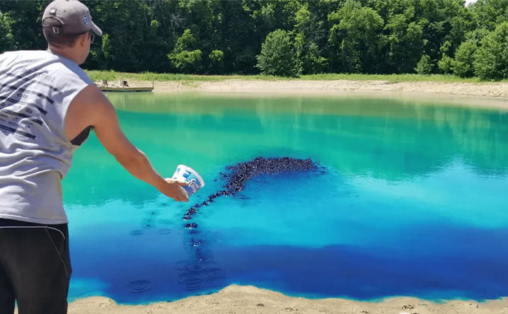 Blue or Black: Choosing the Right Pond Dye Color - Smith Creek Lake and Pond