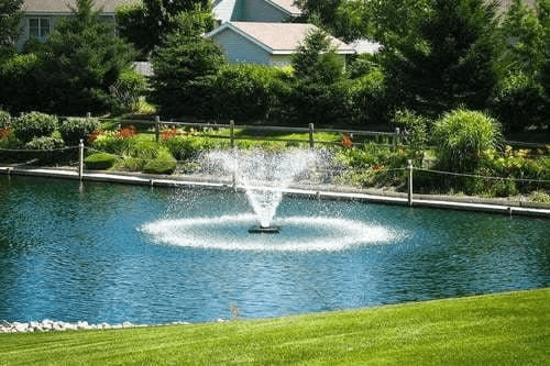 Nine Tips for Winterizing Your Pond - Smith Creek Fish Farm