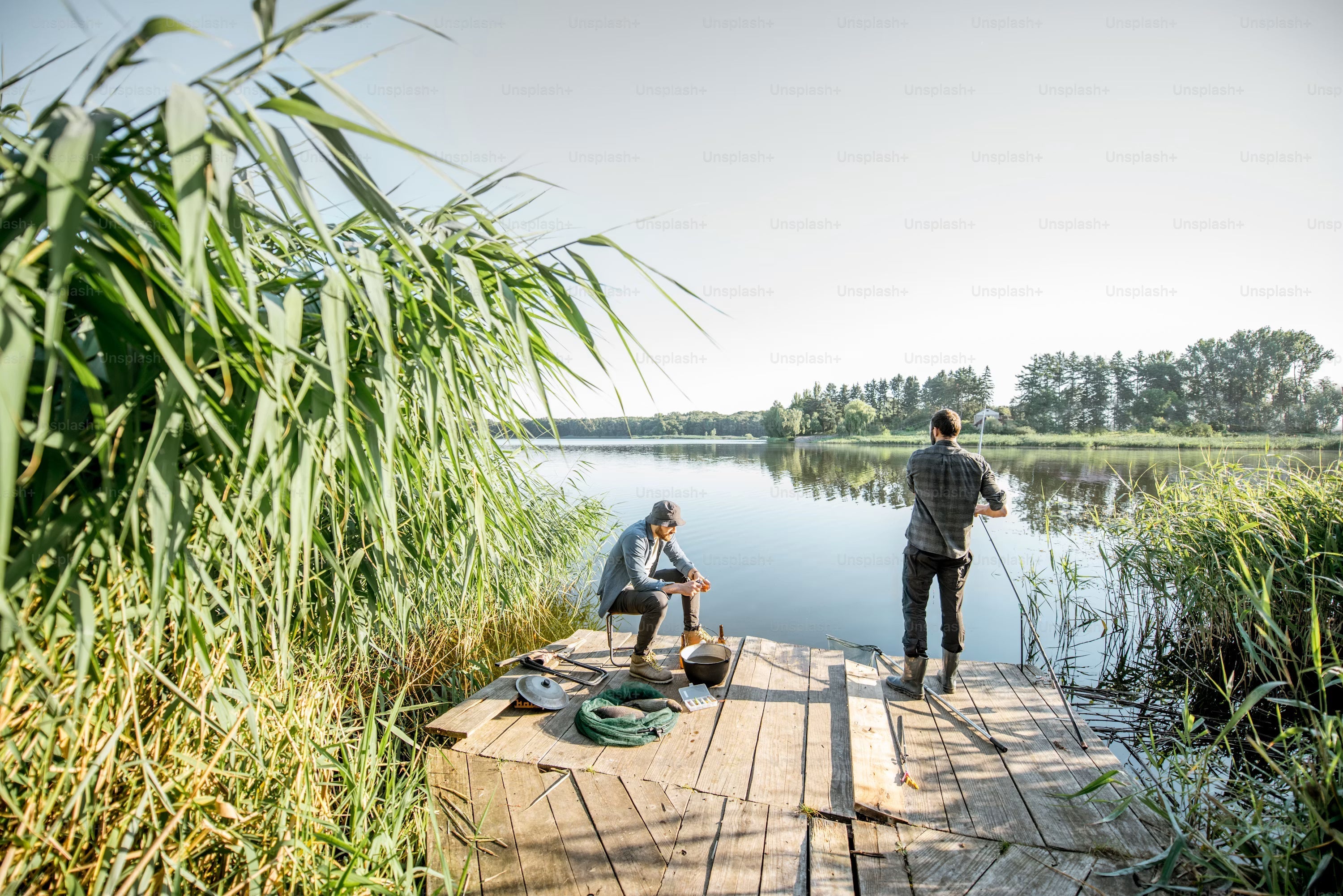 Pond Care Guide
