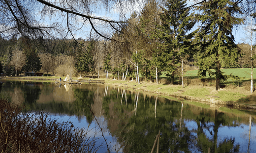 What Fish Should I Stock My Pond With - Smith Creek Lake and Pond