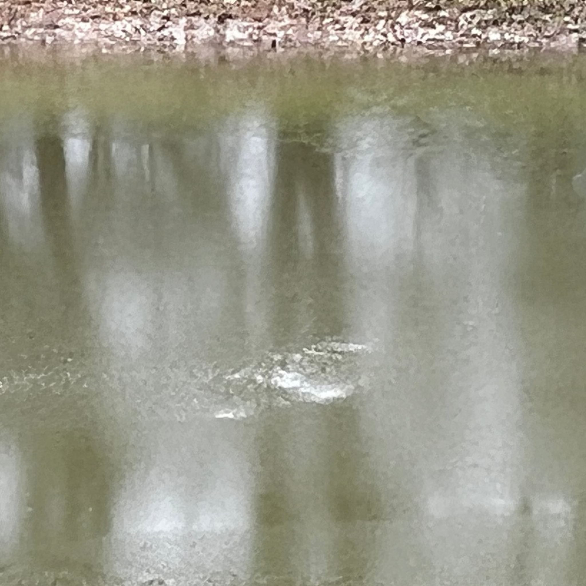 Aqua Ben Soilfloc Pond Sealant Soilfloc Pond Sealant for Sale | Smith Creek Fish Farm