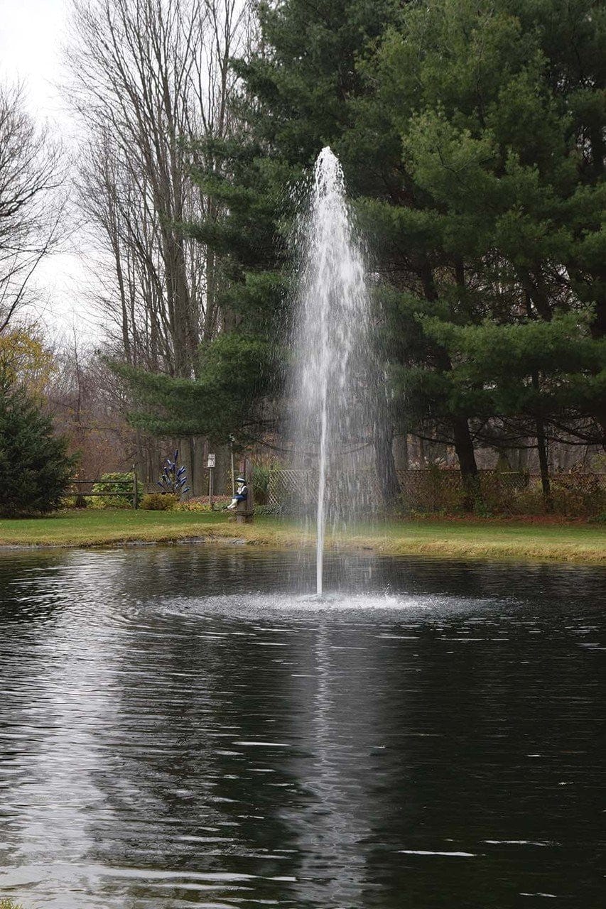 EasyPro Fountain AquaFountain 1HP 230v EasyPro 1 HP EasyPro Aqua Fountain-230v-AF1002 - Pond Enhancement with Free Shipping"