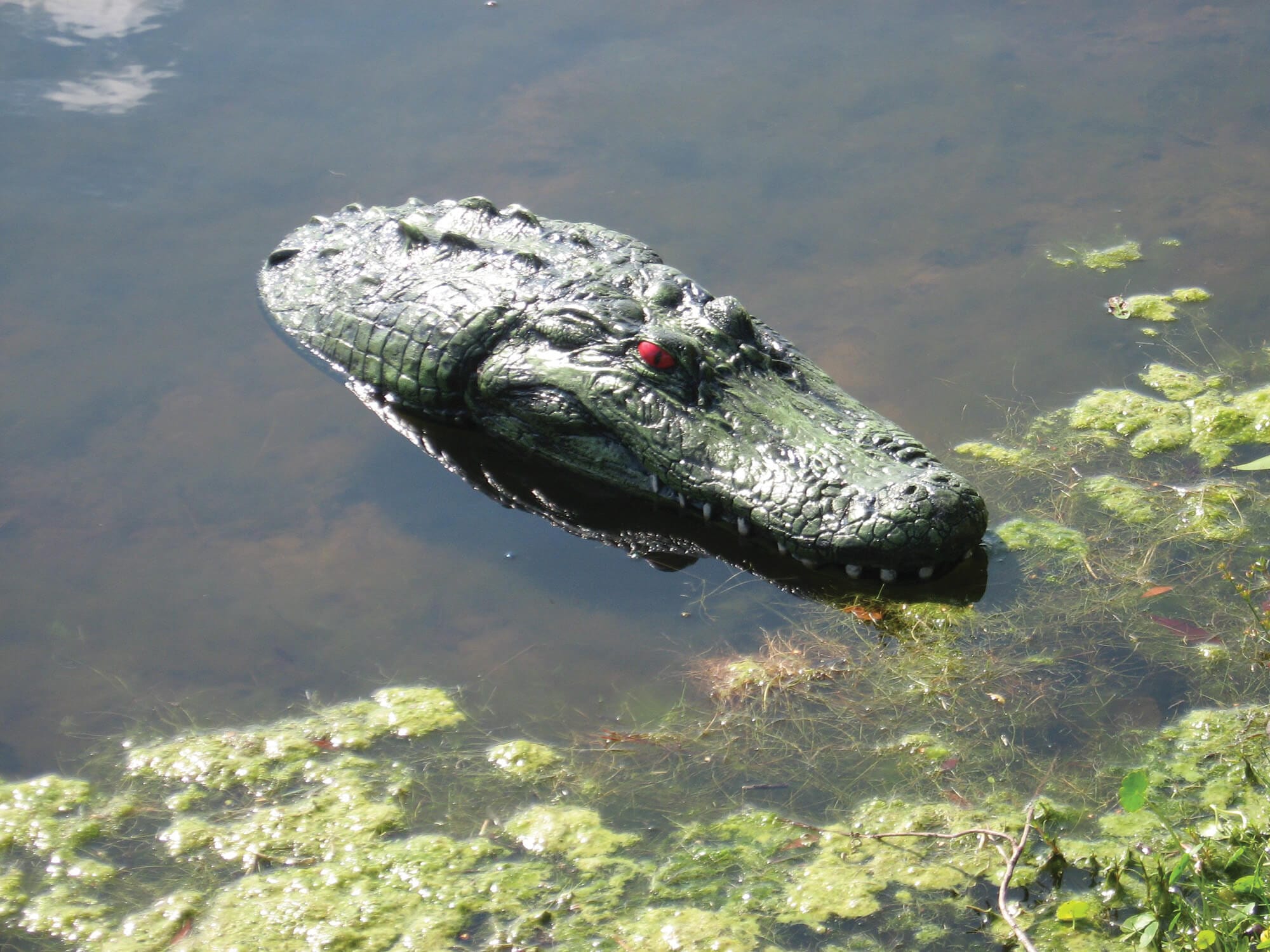 EasyPro Predator Control Floating Gator Head Deterrent Floating Gator Head Deterrent - Smith Creek Fish Farm