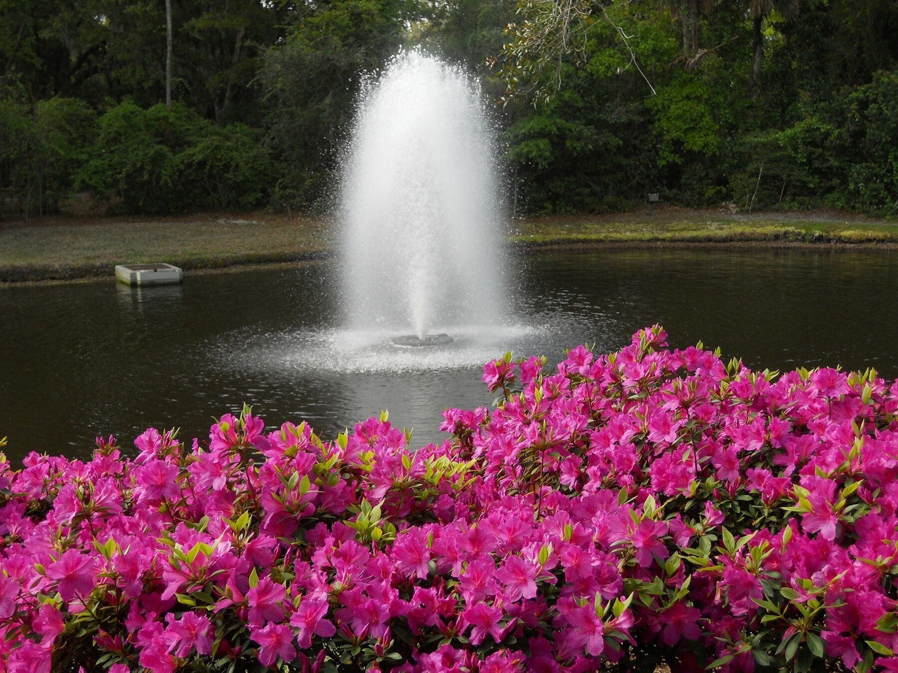 Kasco J Series Fountain 3 HP 240v - Smith Creek Fish Farm