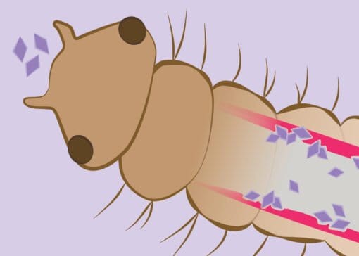 Natural Lake Aquabac XT 2x2.5 Gallon - Smith Creek Fish Farm