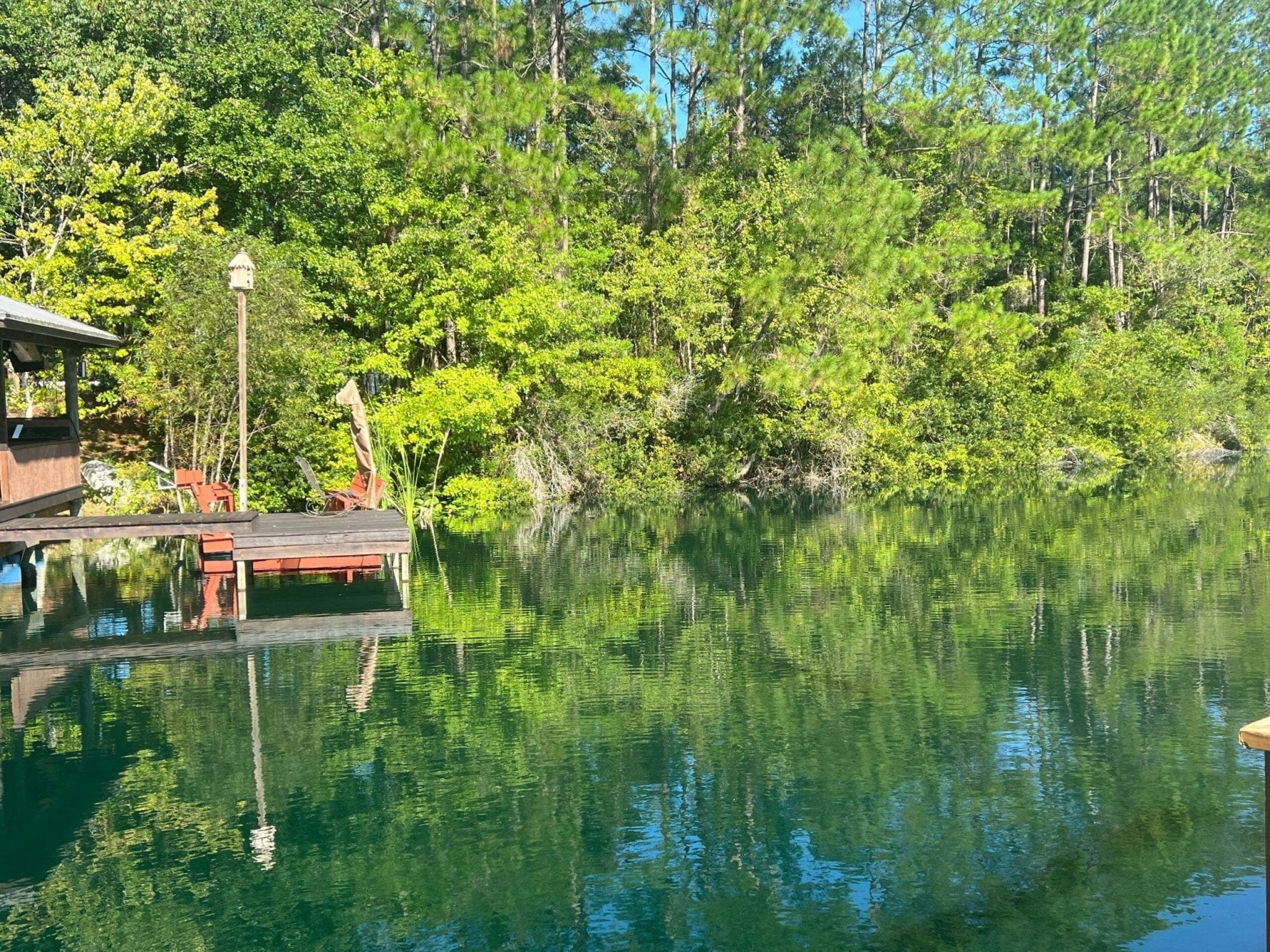 Naturalake MetaFloc - Smith Creek Fish Farm
