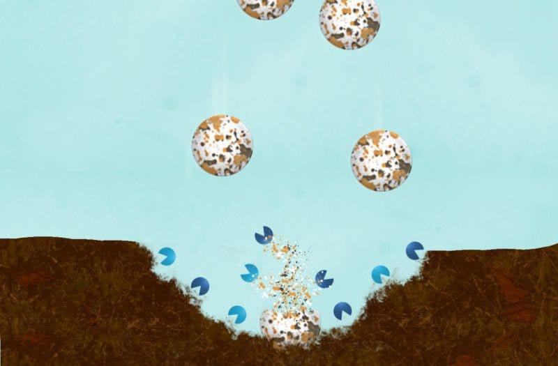 Naturalake MuckBiotics 30 lb. Bag - Smith Creek Fish Farm