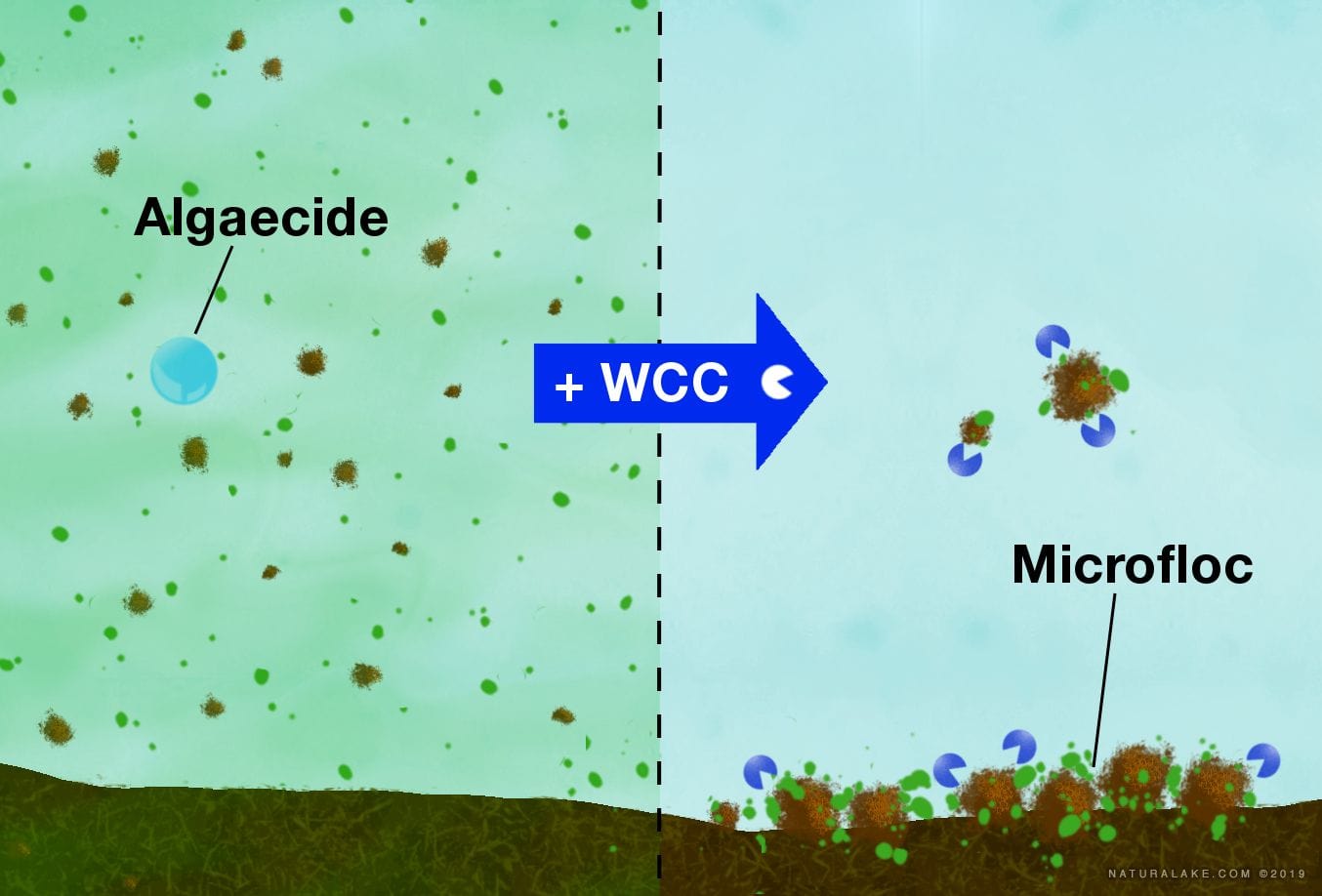 Naturalake Water Column Clarifier - Smith Creek Fish Farm